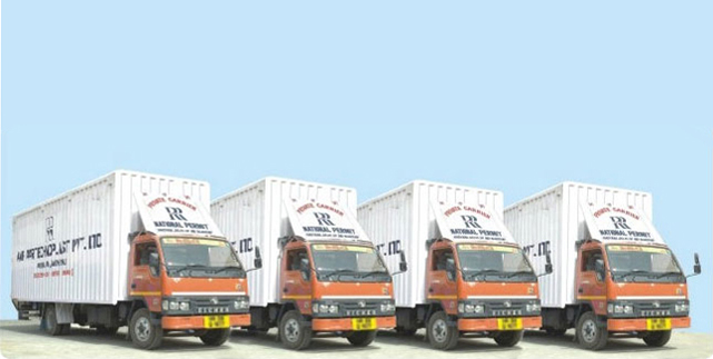 Logistic
